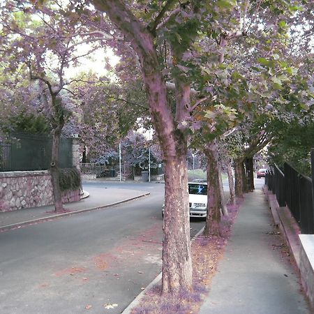 Platan Apartman Βουδαπέστη Δωμάτιο φωτογραφία