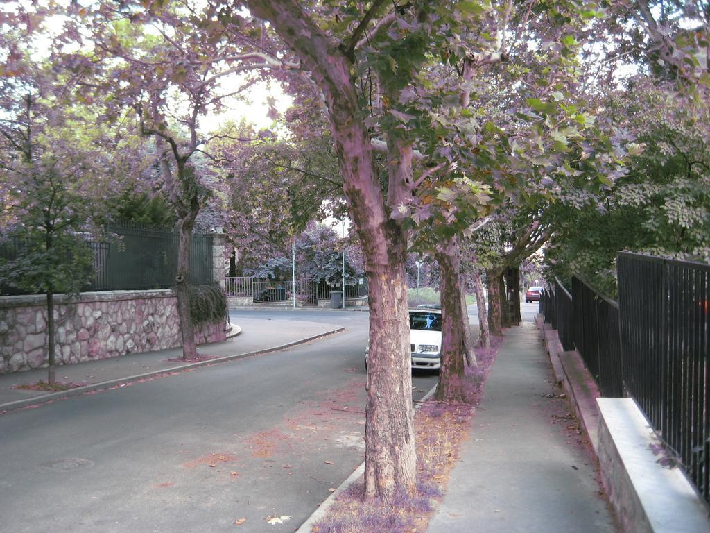 Platan Apartman Βουδαπέστη Δωμάτιο φωτογραφία